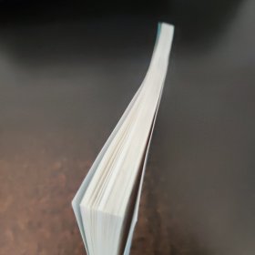 园本课程理论与实践探索丛书 幼儿自我保护教育的实践探索