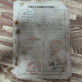 受株连子女回城安置审批表