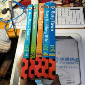 lift the flap book(5册合售)瓢虫系列【英文原版绘本】Busy系列纸板书:5册合售