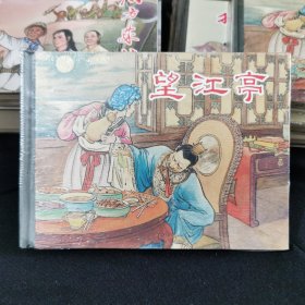 连环环《望江亭》 50开上美精装