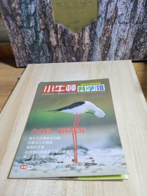 小牛顿科学馆：续集·全面升级精选版13.小水鸭.鹬科家族