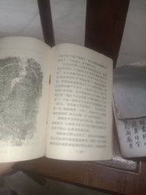 第一次空战(大塑料袋)