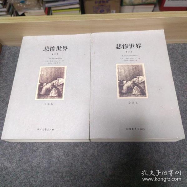 世界文学名著:悲惨世界(全译本)(套装共2册)