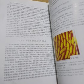 海洋微型生物生态学