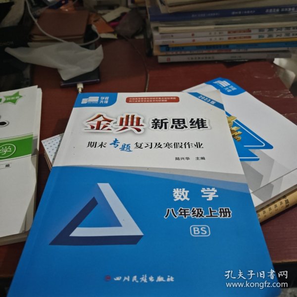金典新思维期末专题复习及寒假作业数学八年级上册BS赠答案