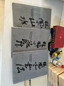 中国书画名家精品选.程风子:山水卷、花卉卷、书法卷
