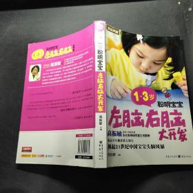 家庭典藏系列：1-3岁聪明宝宝左脑右脑大开发