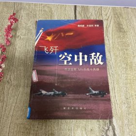 飞歼空中敌：寻访空军飞行员战斗英雄