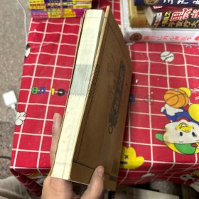 薛刚反唐·薛家将