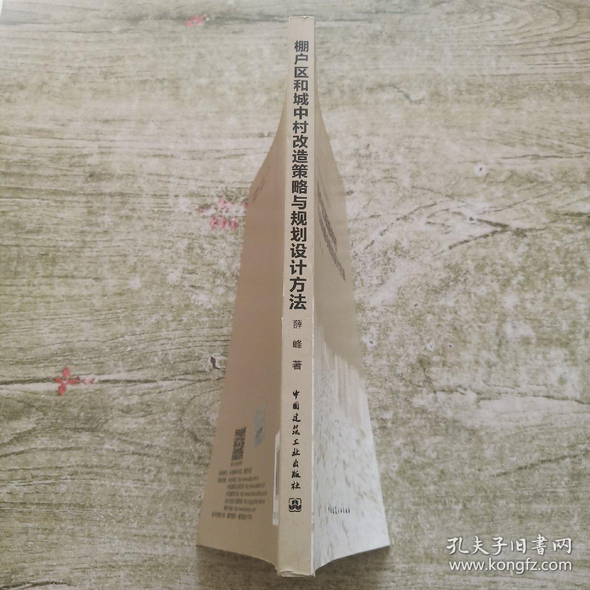 城市更新提升与规划建设丛书：棚户区和城中村改造策略与规划设计方法