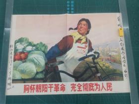 对开宣传画 《胸怀朝阳干革命，完全彻底为人民》