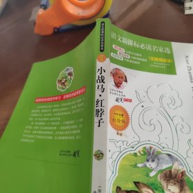 小战马 红脖子