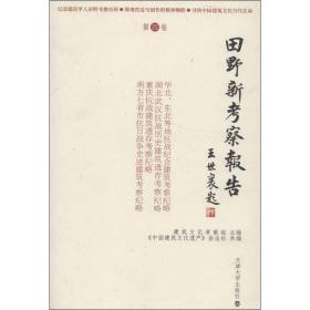 田野新考察报告（第4卷）