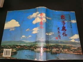 枞阳县志