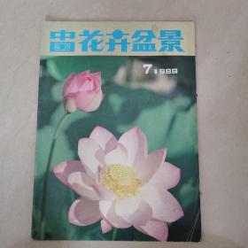 中国花卉盆景，1986年七月