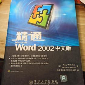 精通Microsoft Word 2002中文版