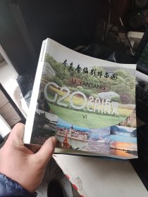 李炎唐摄影作品选 G2O 2016 中国（作者李炎唐签名本）