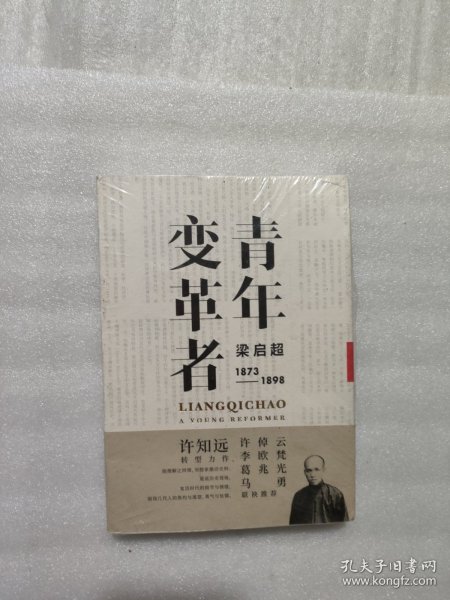 青年变革者：梁启超（1873—1898）