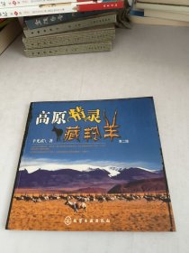 高原精灵藏羚羊