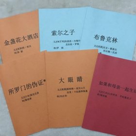 电影剧本 《大眼睛》《布鲁克林》《索尔之子》《所罗门的伪证》《金盏花大酒店》《如果和母亲一起生活》共 6本