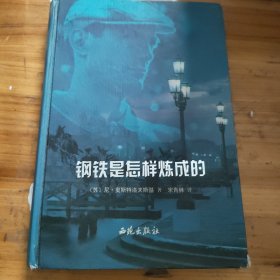 中国文学通史:全5册