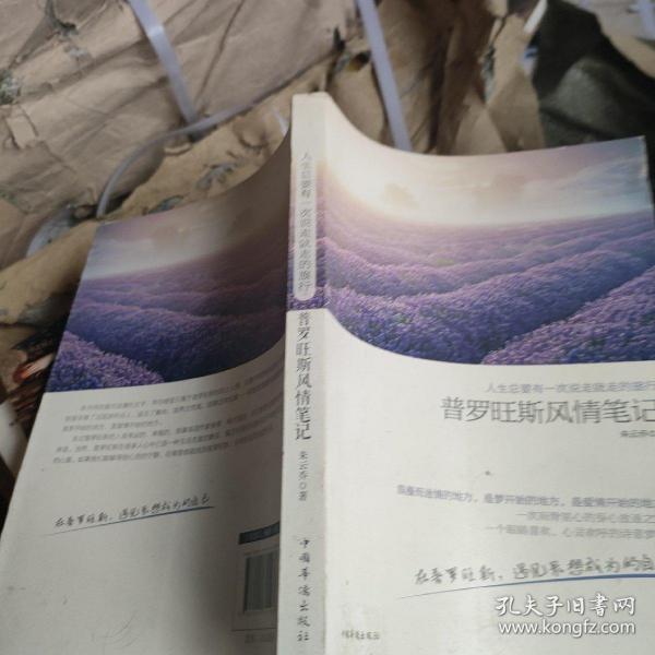 人生总要有一次说走就走的旅行：普罗旺斯风情笔记