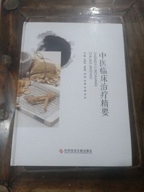 中医临床治疗精要