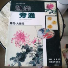 触类旁通：菊花，大丽花（中国画技法新解，）