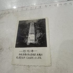 玲珑塔照片/耸立于无量观前