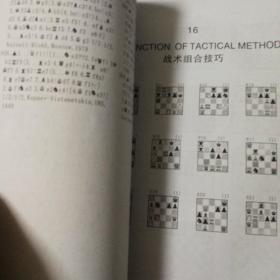 国际象棋～战术组合技巧(双马头，国际象棋双冠军，M.V.BLOKH编著，带中文目录，)