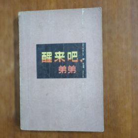 醒来吧，弟弟（放阁楼位）（短篇小说集）