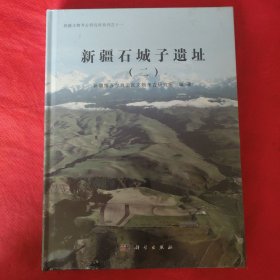 新疆石城子遗址（二）