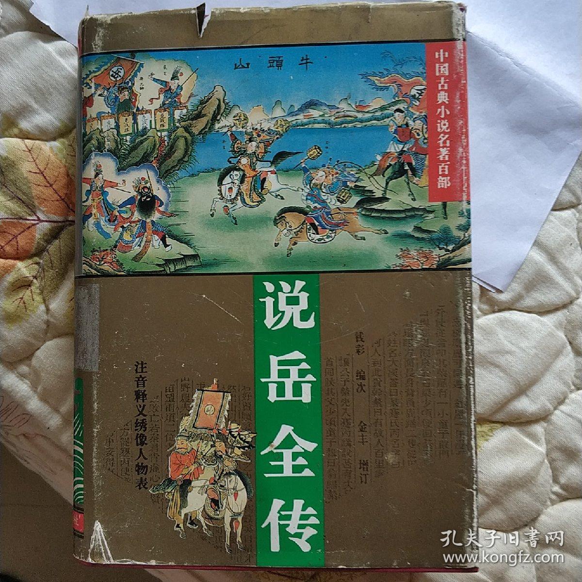 说岳全传（中国古典小说名著百部）（精装）