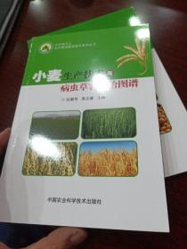 小麦生产技术与病虫草害防治图谱