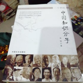 20世纪中国知识分子