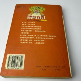 智慧背囊（第三辑）：智慧背囊系列丛书