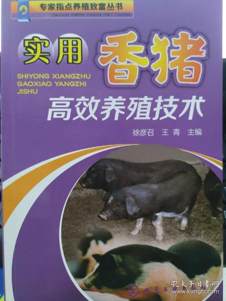 实用香猪高效养殖技术
