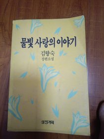 金香淑的长篇小说:水色爱情故事（朝鲜文）물빛 사랑의 이야기 김향숙장편소설韩国原版