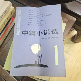 中篇小说选