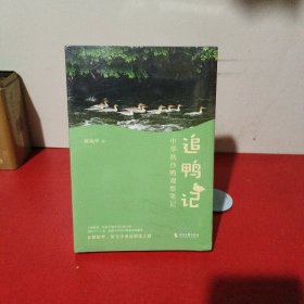 追鸭记：中华秋沙鸭观察笔记