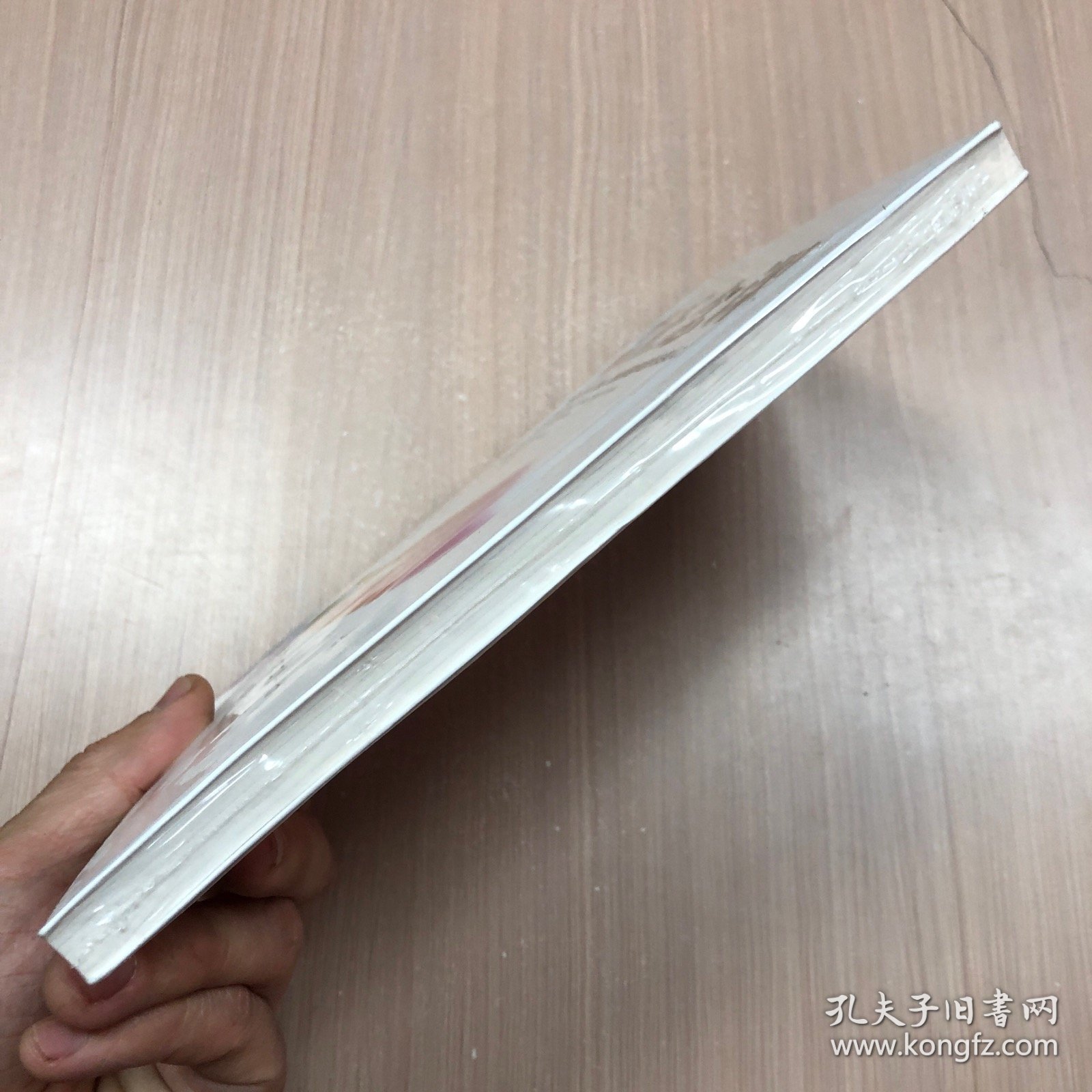 世界精英正念课:谷歌、脸书、高盛、麦肯锡这样培养未来人才