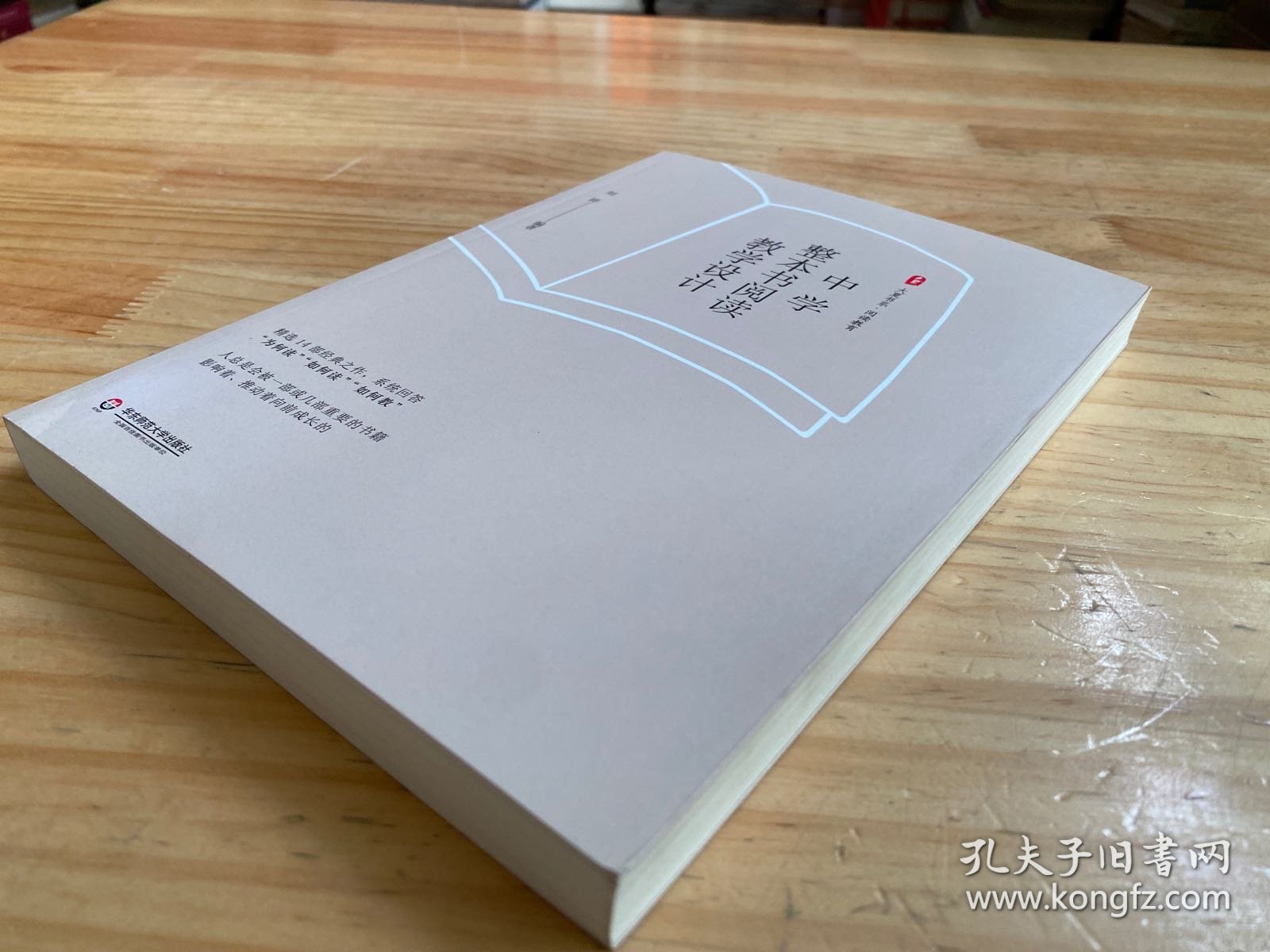 大夏书系·中学整本书阅读教学设计（精选14部经典之作，系统回答“为何读”“如何读”“如何教”）