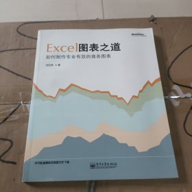 Excel图表之道：如何制作专业有效的商务图表