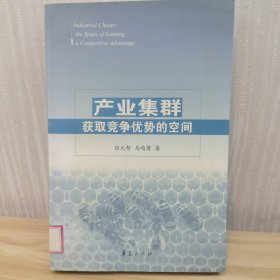 产业集群：获取竞争优势的空间