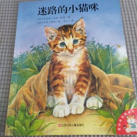 迷路的小猫咪/爱的味道图画书