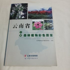 云南省主要森林植物彩色图鉴