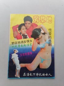 芳草地