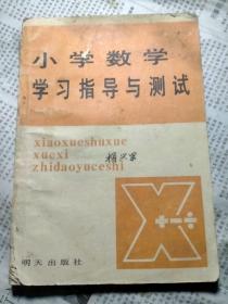 小学数学学习指导与测试 第八册