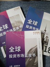 2017-2018全球投资市场蓝皮书 上中下 全三册