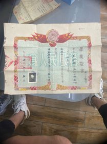 1955年毕业证  小学学年成绩报告单